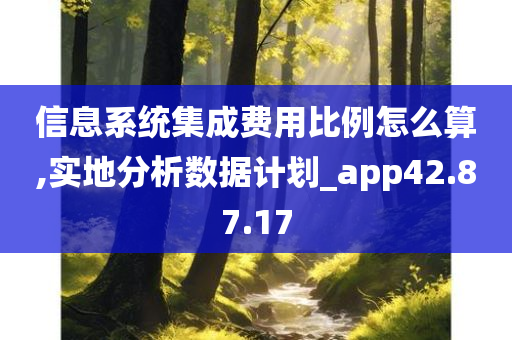 信息系统集成费用比例怎么算,实地分析数据计划_app42.87.17