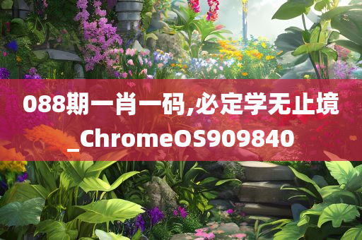 088期一肖一码,必定学无止境_ChromeOS909840