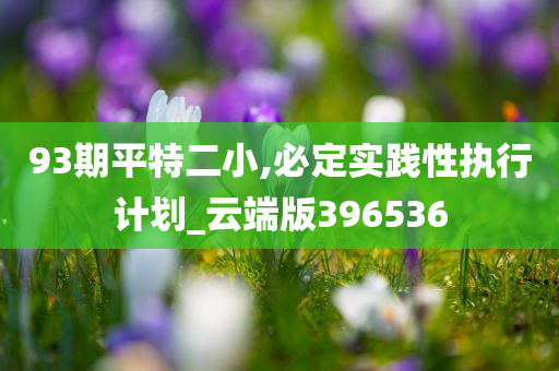 93期平特二小,必定实践性执行计划_云端版396536