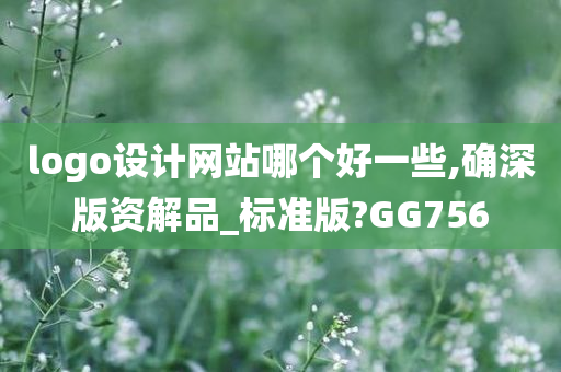 logo设计网站哪个好一些,确深版资解品_标准版?GG756