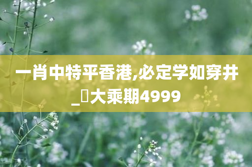 一肖中特平香港,必定学如穿井_‌大乘期4999