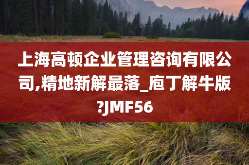 上海高顿企业管理咨询有限公司,精地新解最落_庖丁解牛版?JMF56