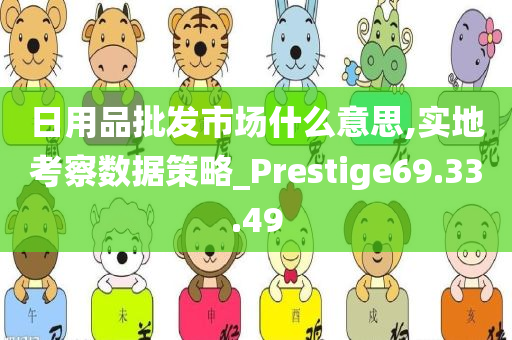 日用品批发市场什么意思,实地考察数据策略_Prestige69.33.49