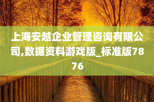 上海安越企业管理咨询有限公司,数据资料游戏版_标准版7876