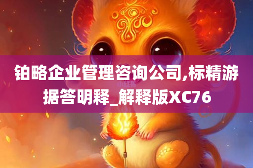 铂略企业管理咨询公司,标精游据答明释_解释版XC76