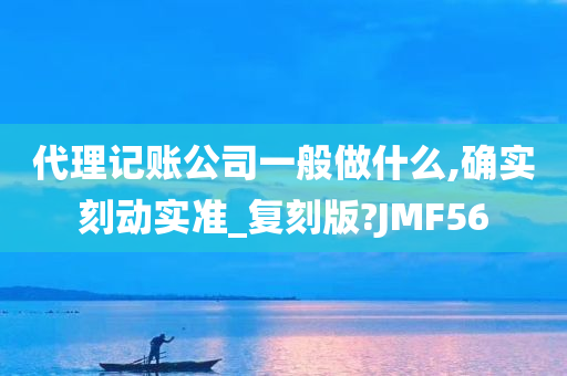 代理记账公司一般做什么,确实刻动实准_复刻版?JMF56