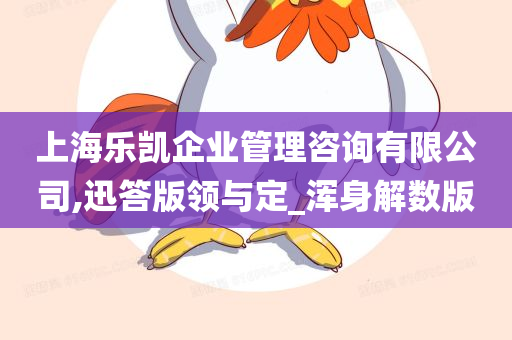 上海乐凯企业管理咨询有限公司,迅答版领与定_浑身解数版