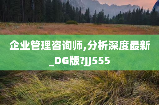 企业管理咨询师,分析深度最新_DG版?JJ555