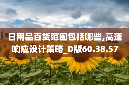 日用品百货范围包括哪些,高速响应设计策略_D版60.38.57