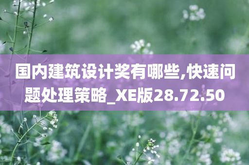 国内建筑设计奖有哪些,快速问题处理策略_XE版28.72.50