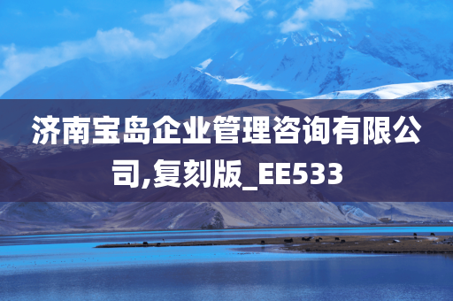 济南宝岛企业管理咨询有限公司,复刻版_EE533