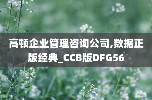 高顿企业管理咨询公司,数据正版经典_CCB版DFG56