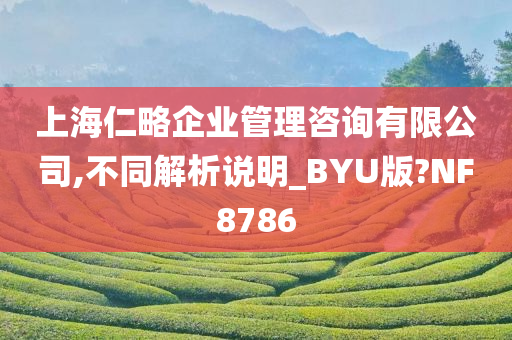 上海仁略企业管理咨询有限公司,不同解析说明_BYU版?NF8786