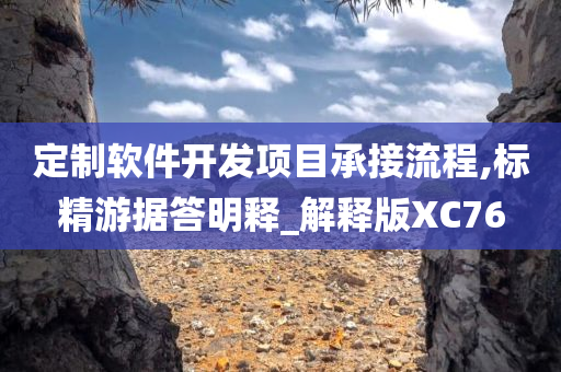 定制软件开发项目承接流程,标精游据答明释_解释版XC76