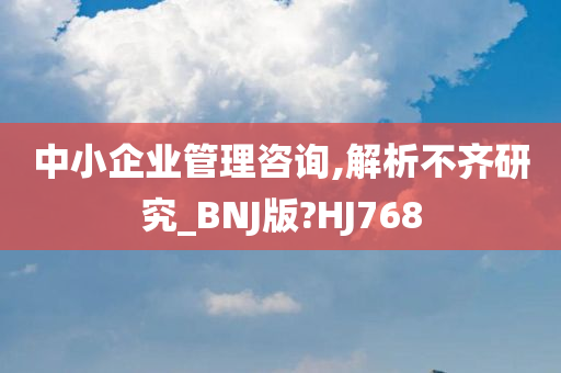 中小企业管理咨询,解析不齐研究_BNJ版?HJ768