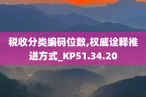 税收分类编码位数,权威诠释推进方式_KP51.34.20