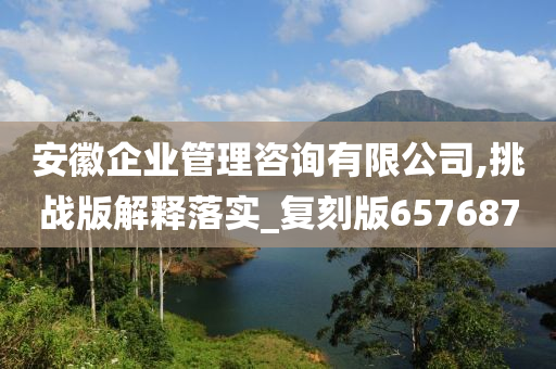 安徽企业管理咨询有限公司,挑战版解释落实_复刻版657687