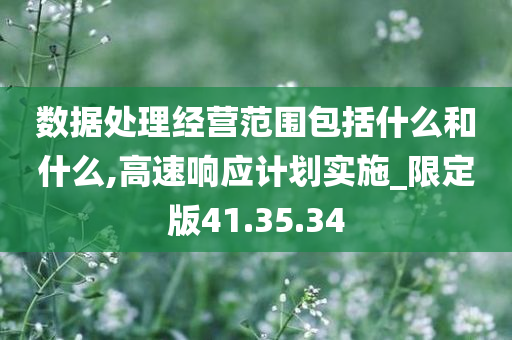 数据处理经营范围包括什么和什么,高速响应计划实施_限定版41.35.34