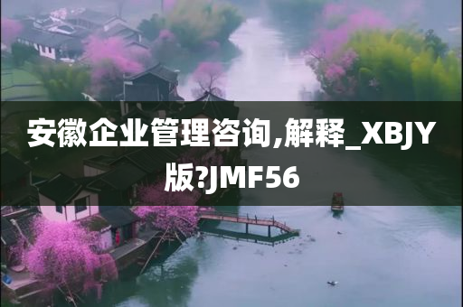 安徽企业管理咨询,解释_XBJY版?JMF56