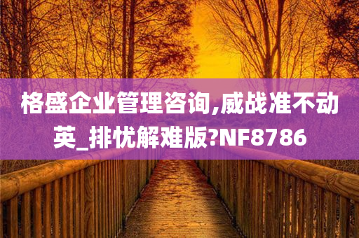 格盛企业管理咨询,威战准不动英_排忧解难版?NF8786