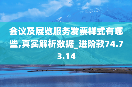 会议及展览服务发票样式有哪些,真实解析数据_进阶款74.73.14