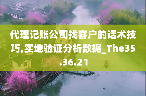 代理记账公司找客户的话术技巧,实地验证分析数据_The35.36.21