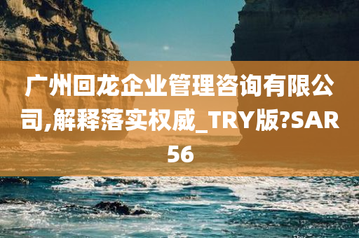 广州回龙企业管理咨询有限公司,解释落实权威_TRY版?SAR56