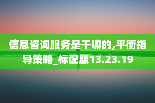 信息咨询服务是干嘛的,平衡指导策略_标配版13.23.19