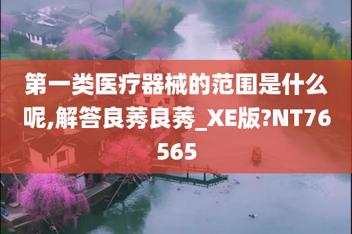 第一类医疗器械的范围是什么呢,解答良莠良莠_XE版?NT76565