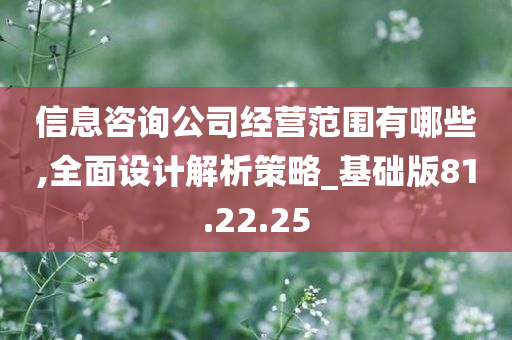 信息咨询公司经营范围有哪些,全面设计解析策略_基础版81.22.25