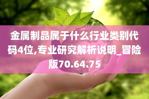 金属制品属于什么行业类别代码4位,专业研究解析说明_冒险版70.64.75