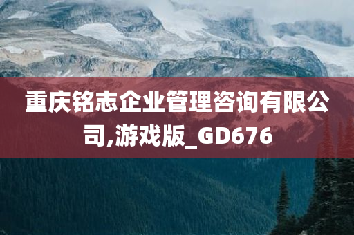 重庆铭志企业管理咨询有限公司,游戏版_GD676