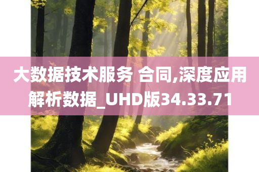 大数据技术服务 合同,深度应用解析数据_UHD版34.33.71