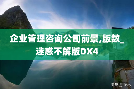 企业管理咨询公司前景,版数_迷惑不解版DX4