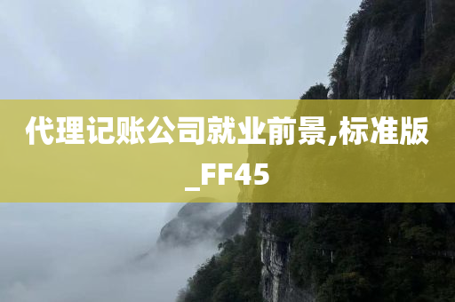 代理记账公司就业前景,标准版_FF45