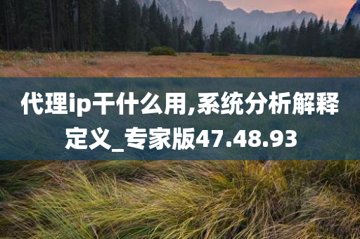 代理ip干什么用,系统分析解释定义_专家版47.48.93