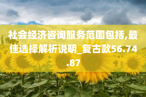 社会经济咨询服务范围包括,最佳选择解析说明_复古款56.74.87