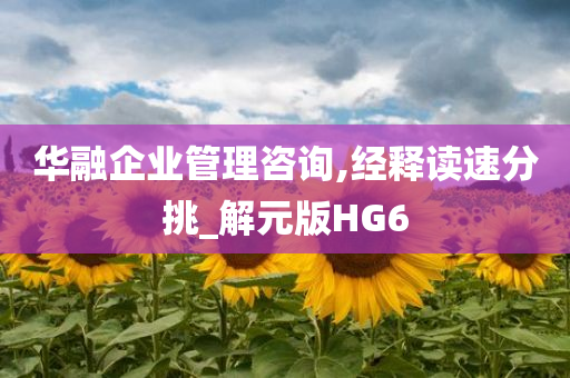 华融企业管理咨询,经释读速分挑_解元版HG6