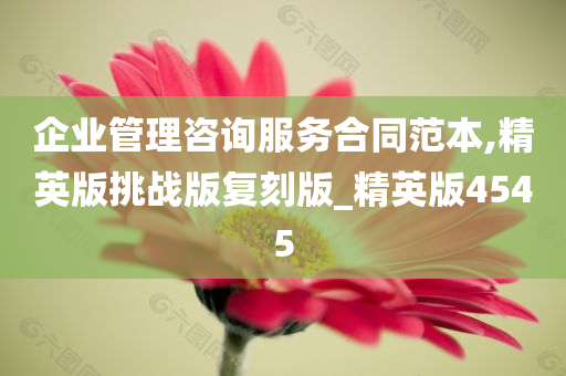 企业管理咨询服务合同范本,精英版挑战版复刻版_精英版4545