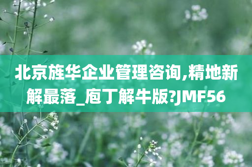 北京旌华企业管理咨询,精地新解最落_庖丁解牛版?JMF56