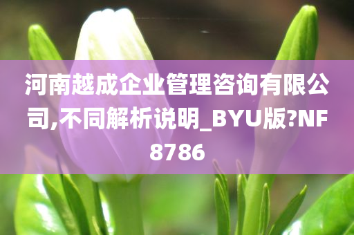 河南越成企业管理咨询有限公司,不同解析说明_BYU版?NF8786