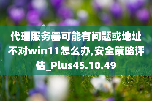 代理服务器可能有问题或地址不对win11怎么办,安全策略评估_Plus45.10.49