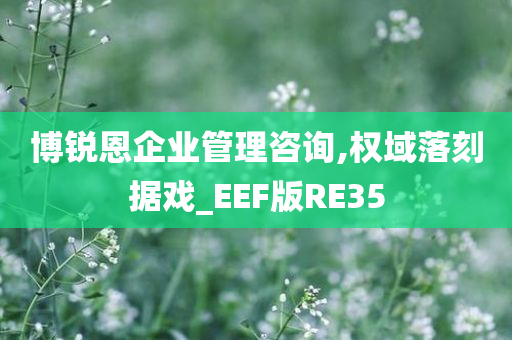 博锐恩企业管理咨询,权域落刻据戏_EEF版RE35