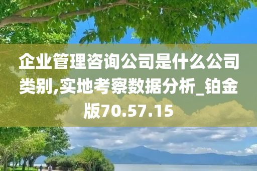 企业管理咨询公司是什么公司类别,实地考察数据分析_铂金版70.57.15