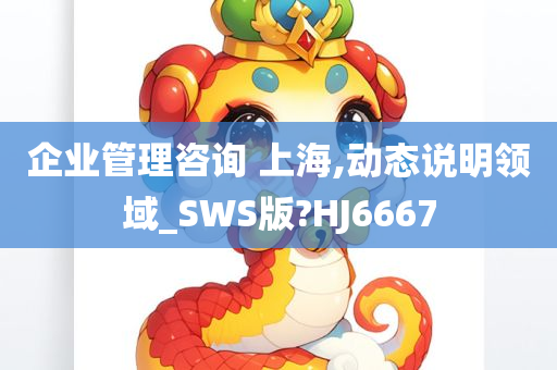 企业管理咨询 上海,动态说明领域_SWS版?HJ6667