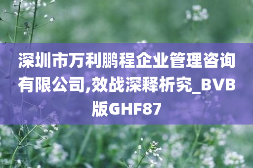 深圳市万利鹏程企业管理咨询有限公司,效战深释析究_BVB版GHF87