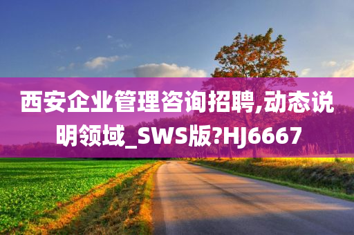 西安企业管理咨询招聘,动态说明领域_SWS版?HJ6667