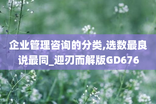 企业管理咨询的分类,选数最良说最同_迎刃而解版GD676