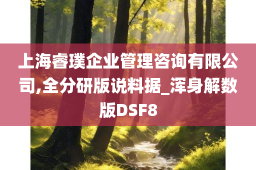 上海睿璞企业管理咨询有限公司,全分研版说料据_浑身解数版DSF8