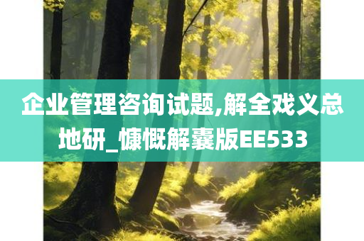 企业管理咨询试题,解全戏义总地研_慷慨解囊版EE533